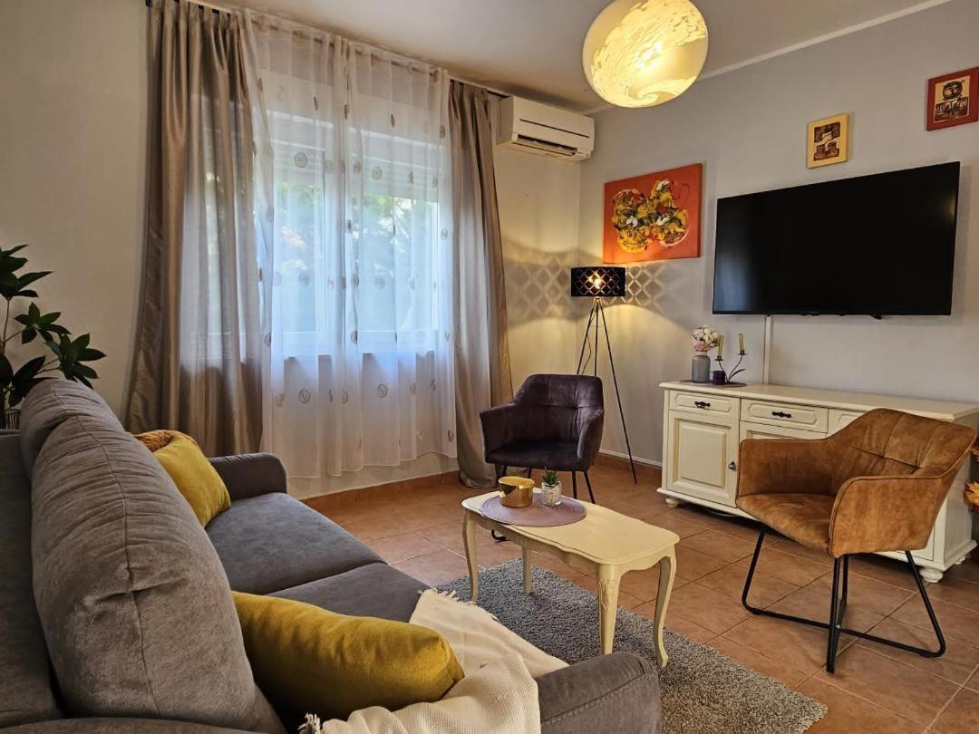 מדולין Holiday Home Istra With Jacuzzi מראה חיצוני תמונה